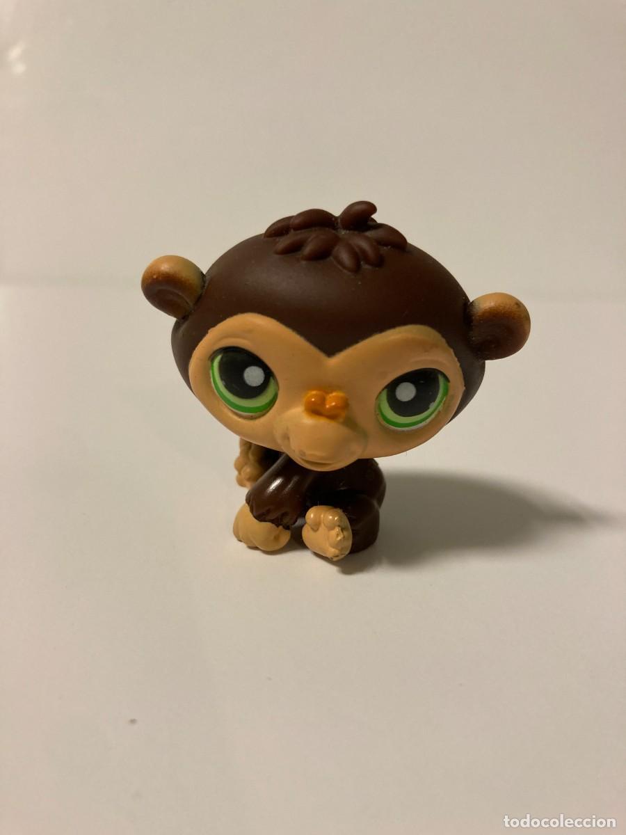 Figuras de goma y PVC: Juguete Littlest Pet Shop #113