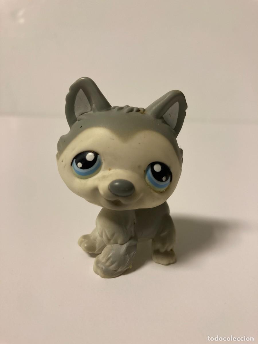 Figuras de goma y PVC: Juguete Littlest Pet Shop #114