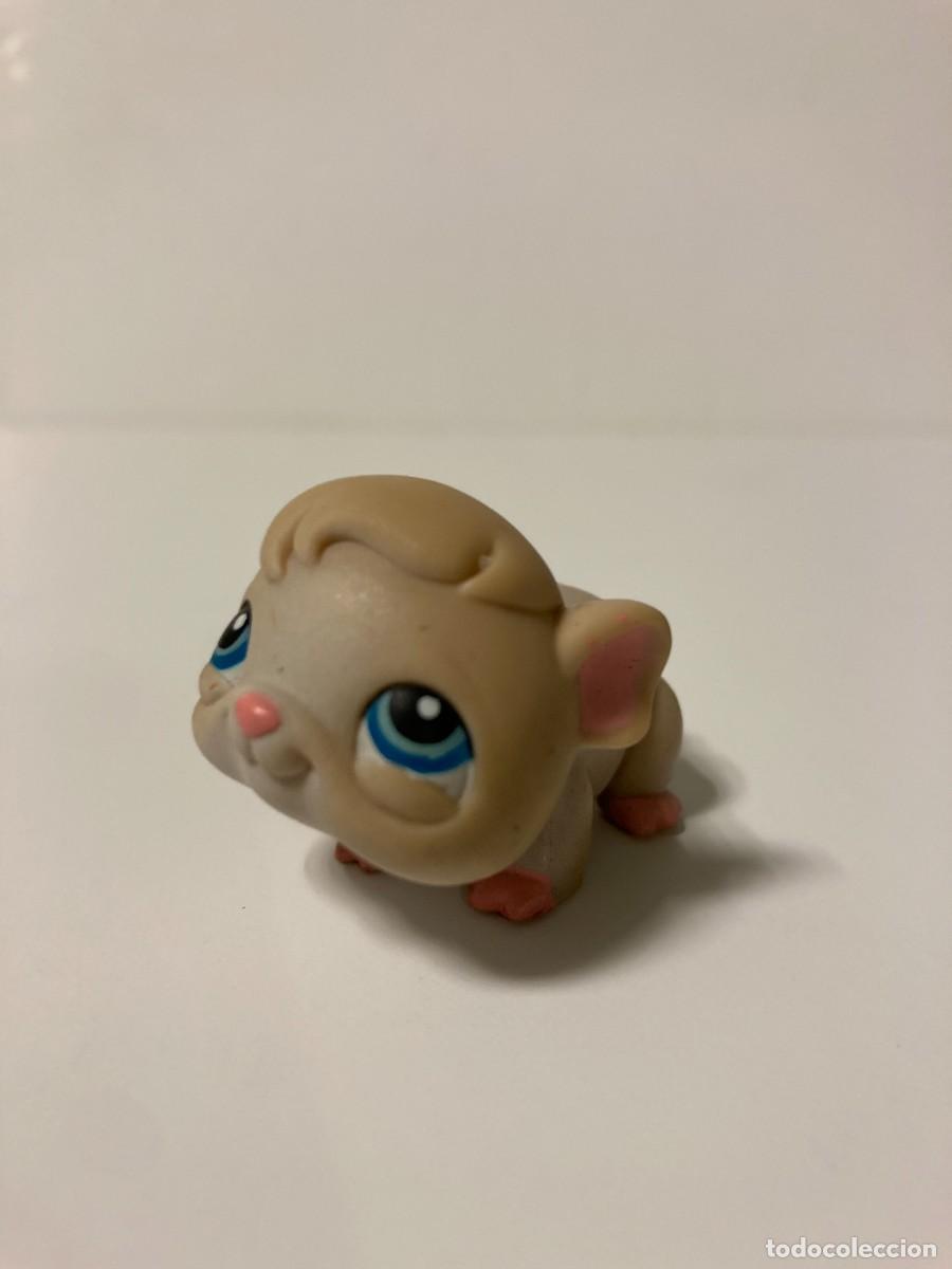 Figuras de goma y PVC: Juguete Littlest Pet Shop #116