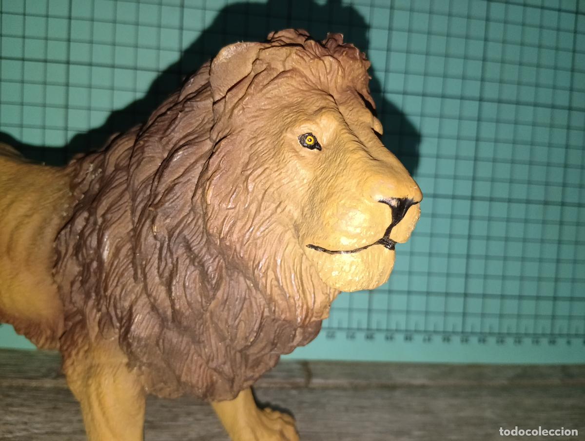 Figuras de goma y PVC: Figura Le&oacute;n Africano CollectA gran calidad