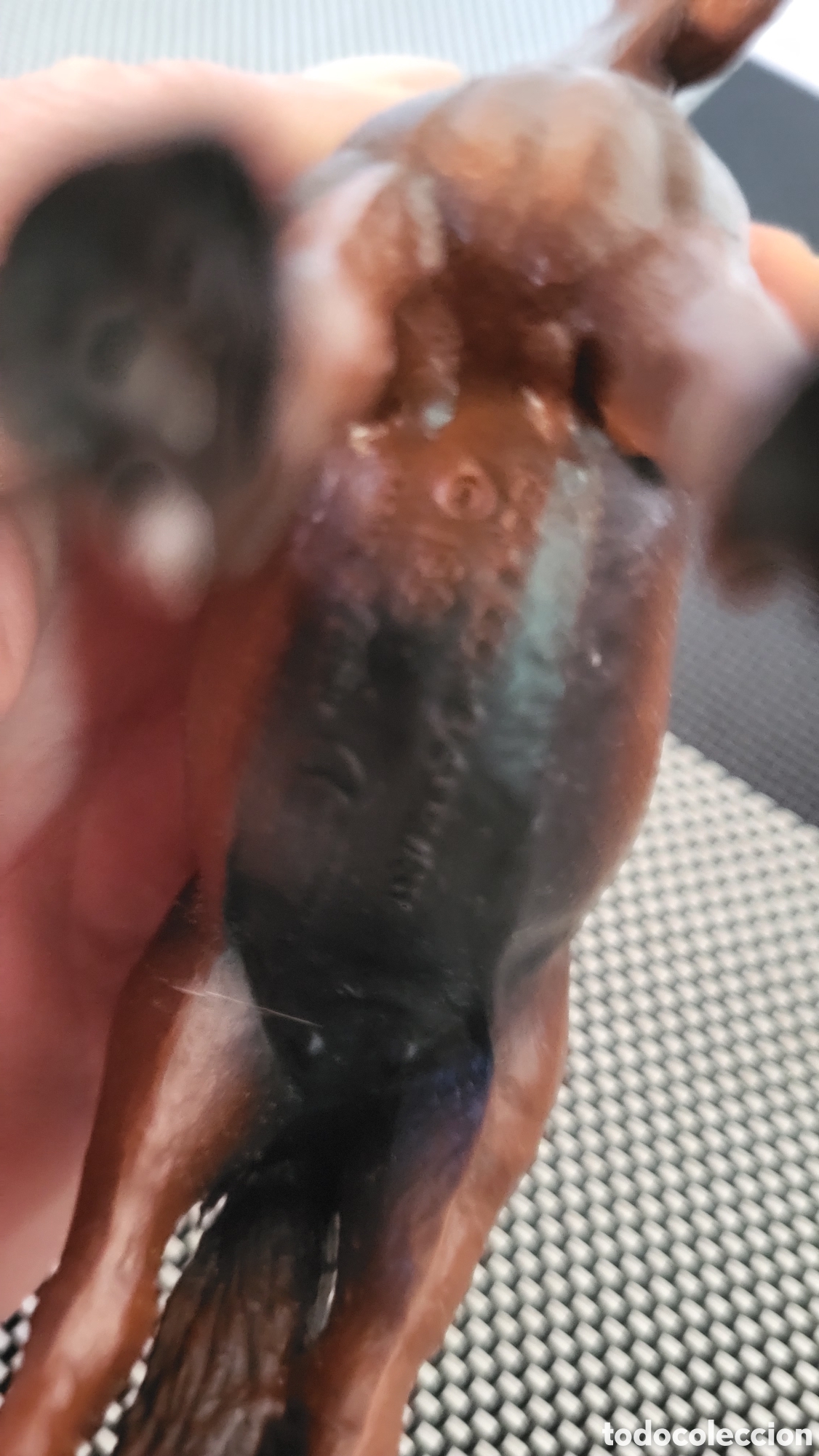 Figuras de goma y PVC: Caballo de colecci&oacute;n Schleich - Foto 3