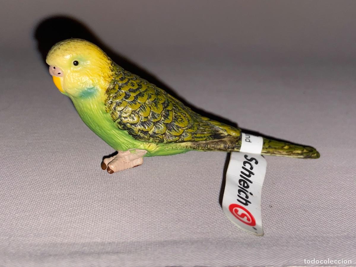 Figuras de goma y PVC: MAGN&Iacute;FICA FIGURA DE PVC &ldquo; PERIQUITO &ldquo; SERIE ANIMALES - SCHLEICH