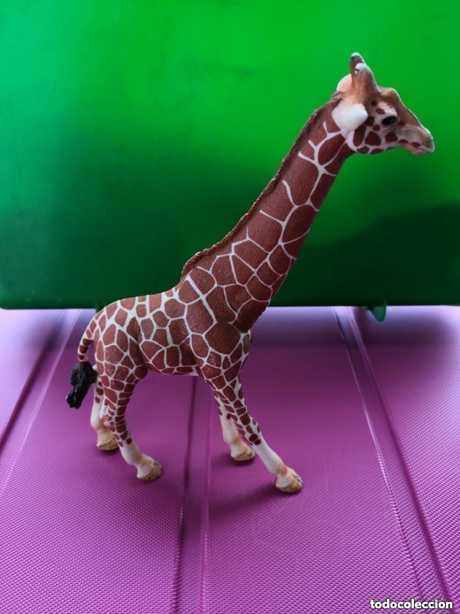 Gummi- und PVC-Figuren Schleich: ANIMALES SCHLEICH -Figura de Schleich 2015 JIRAFA MACHO