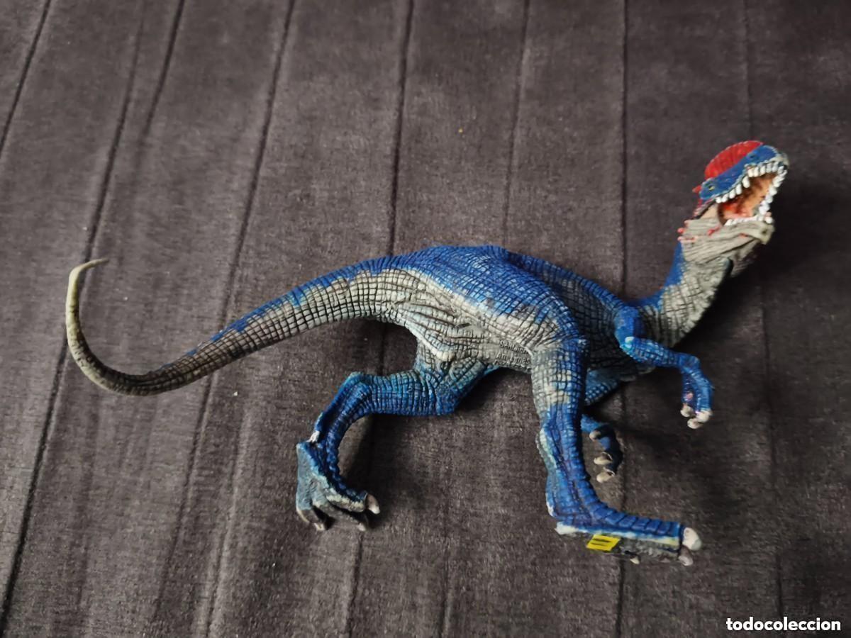 Figuras de Borracha e PVC: Animales Schleich-Figura Dinosaurio Dilophosaurus Schleich