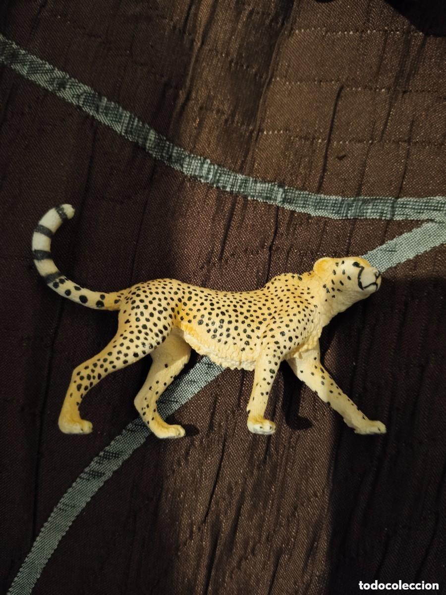Figurines en Caoutchouc et PVC: Animales Schleich-Guepardo hembra Schleich
