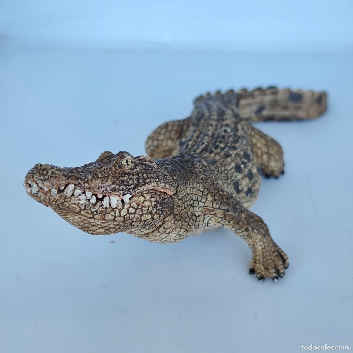 Figuras de goma y PVC: Cocodrilo alligator schleich 2014 - Foto 2
