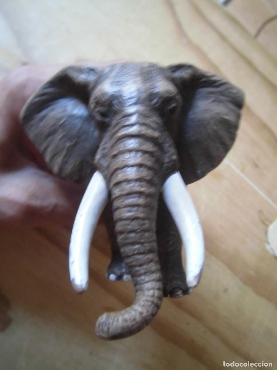 Figuras de goma y PVC: FIGURA ELEFANTE SCHLEICH - Foto 5
