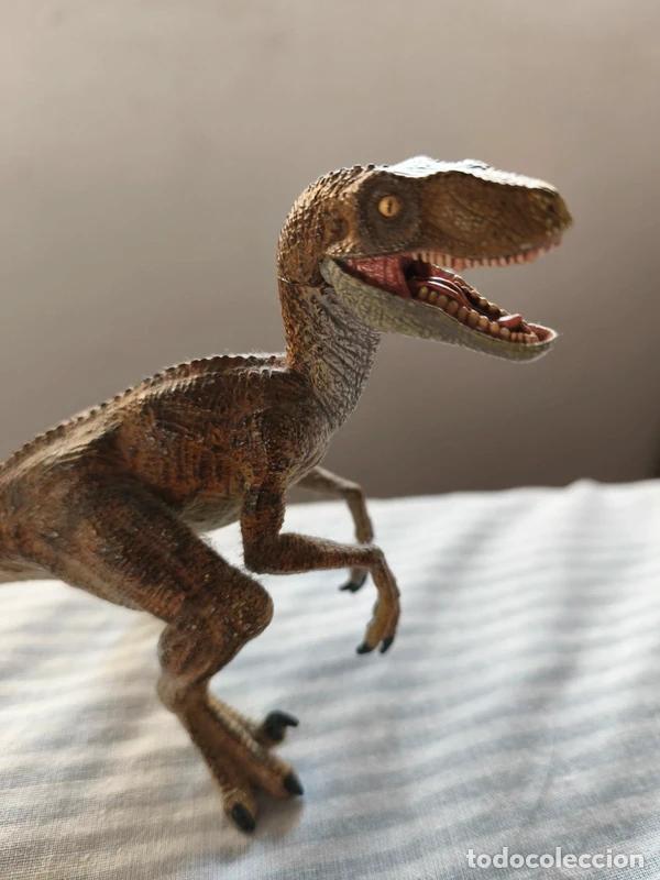 Figuras de goma y PVC: Papo Velociraptor 2005 - Foto 4