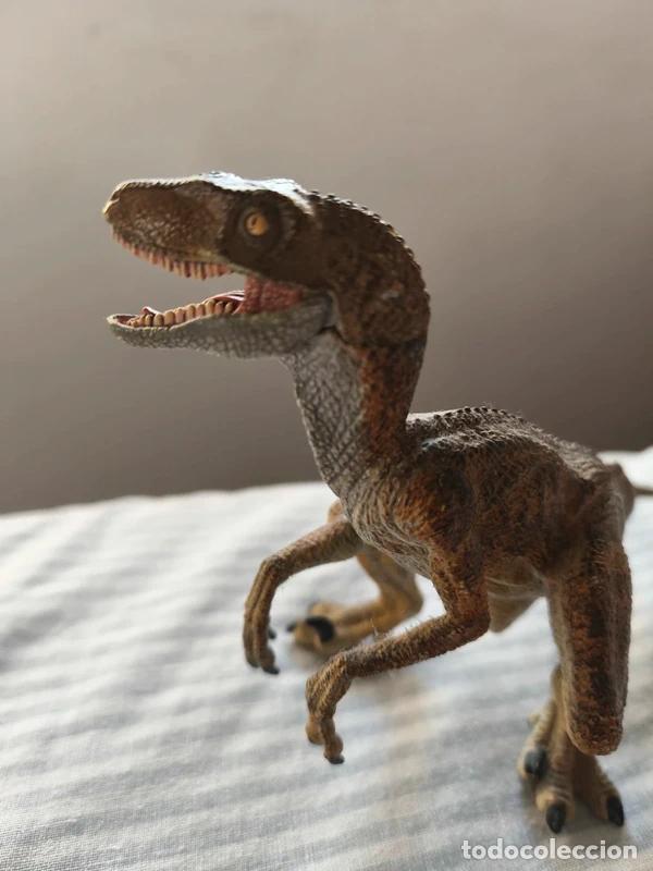 Figuras de goma y PVC: Papo Velociraptor 2005 - Foto 5