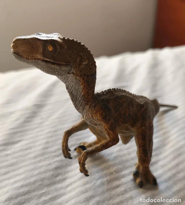 Figuras de goma y PVC: Papo Velociraptor 2005 - Foto 2