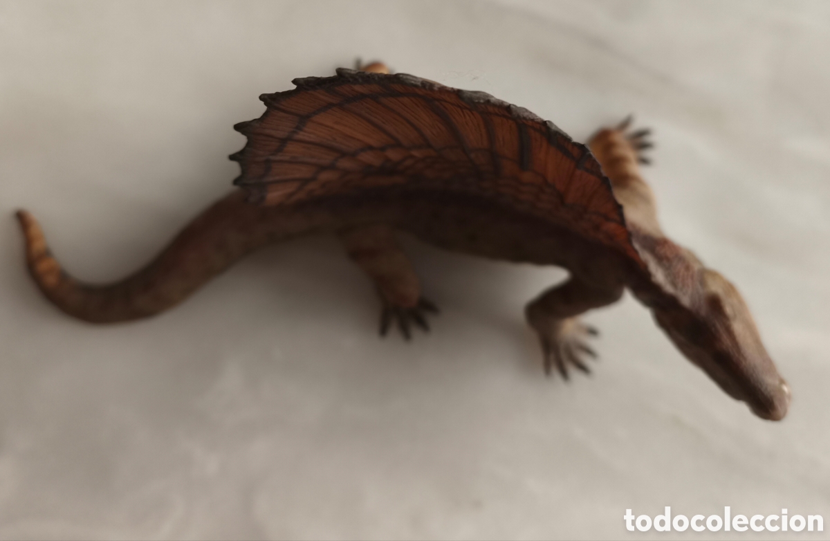 Figuras de goma y PVC: Papo Dimetrodon 2013 - Foto 8