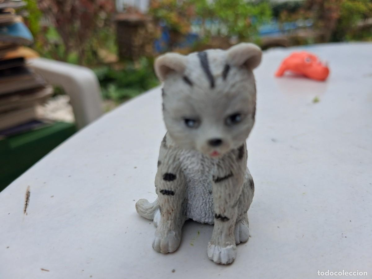 Figuras de goma y PVC: Cachorro de tigre o gato atigrado de colecci&oacute;n - 5 cms