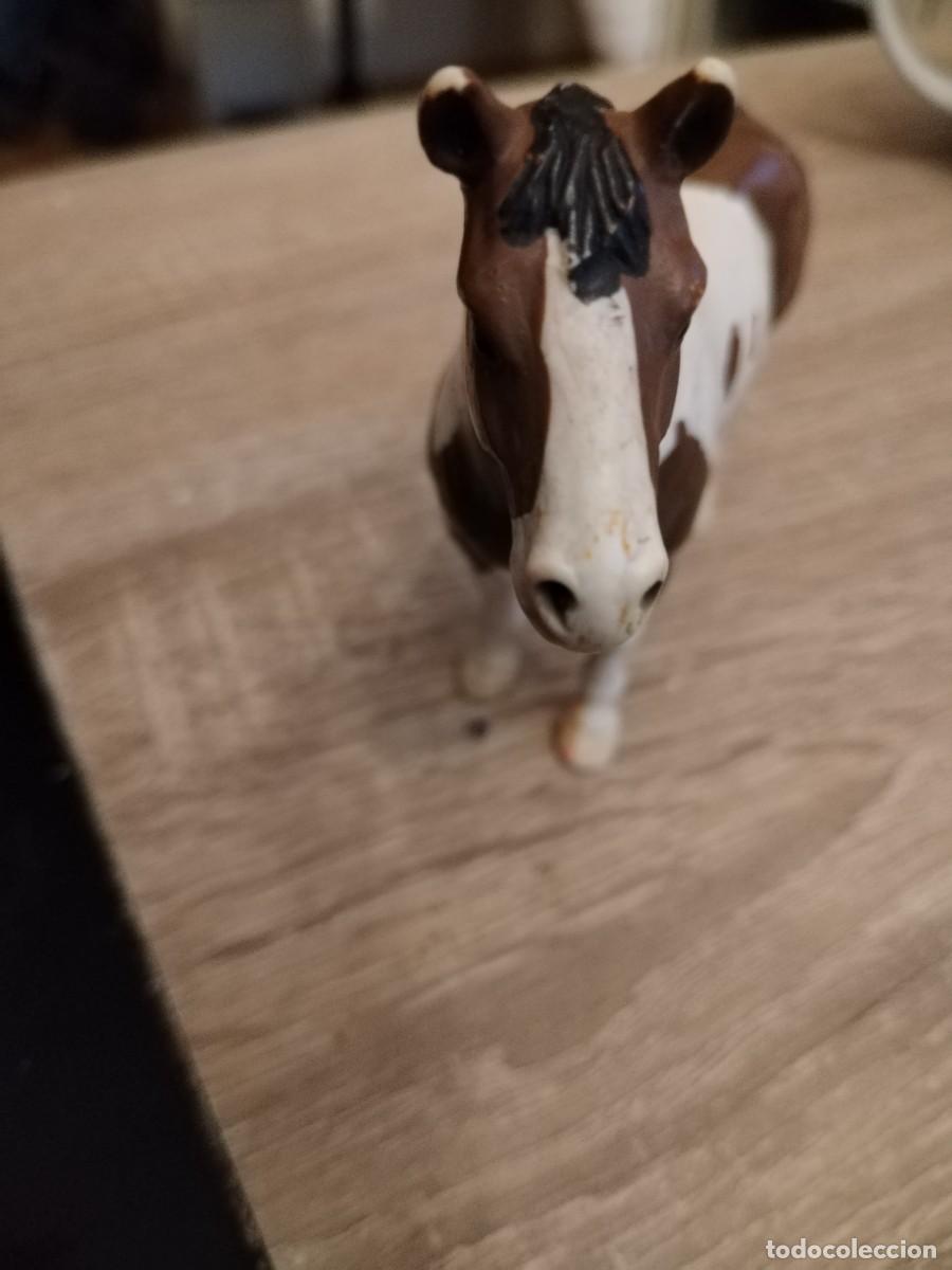 Figuras de goma y PVC: Caballo pinto - scheleich - Foto 2