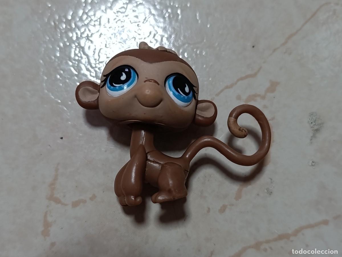 Figuras de goma y PVC: Littlest Pet Shop LPS Monkey #564 G2 mono marr&oacute;n im&aacute;n azul