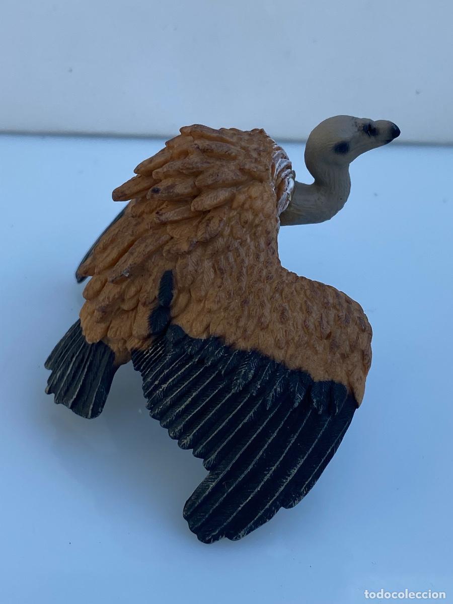 Figuras de goma y PVC: Schleich ref 14691 buitre leonado - Foto 2