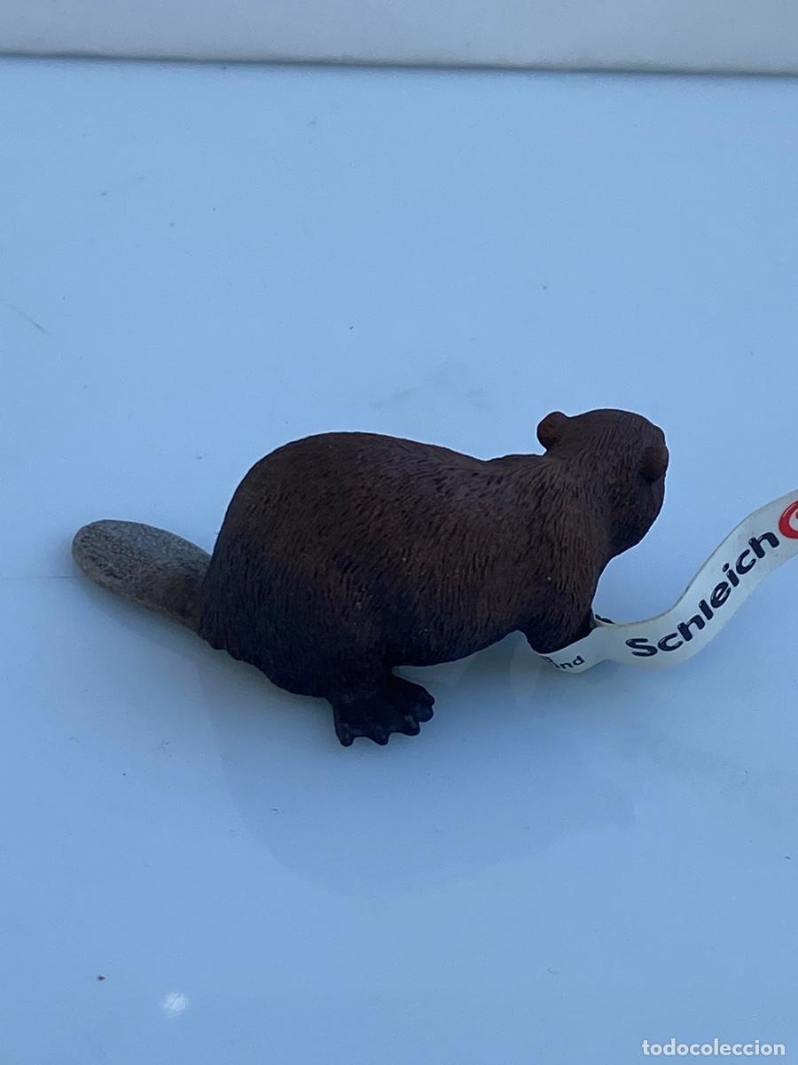 Figuras de goma y PVC: Schleich ref 14693 castor - Foto 2
