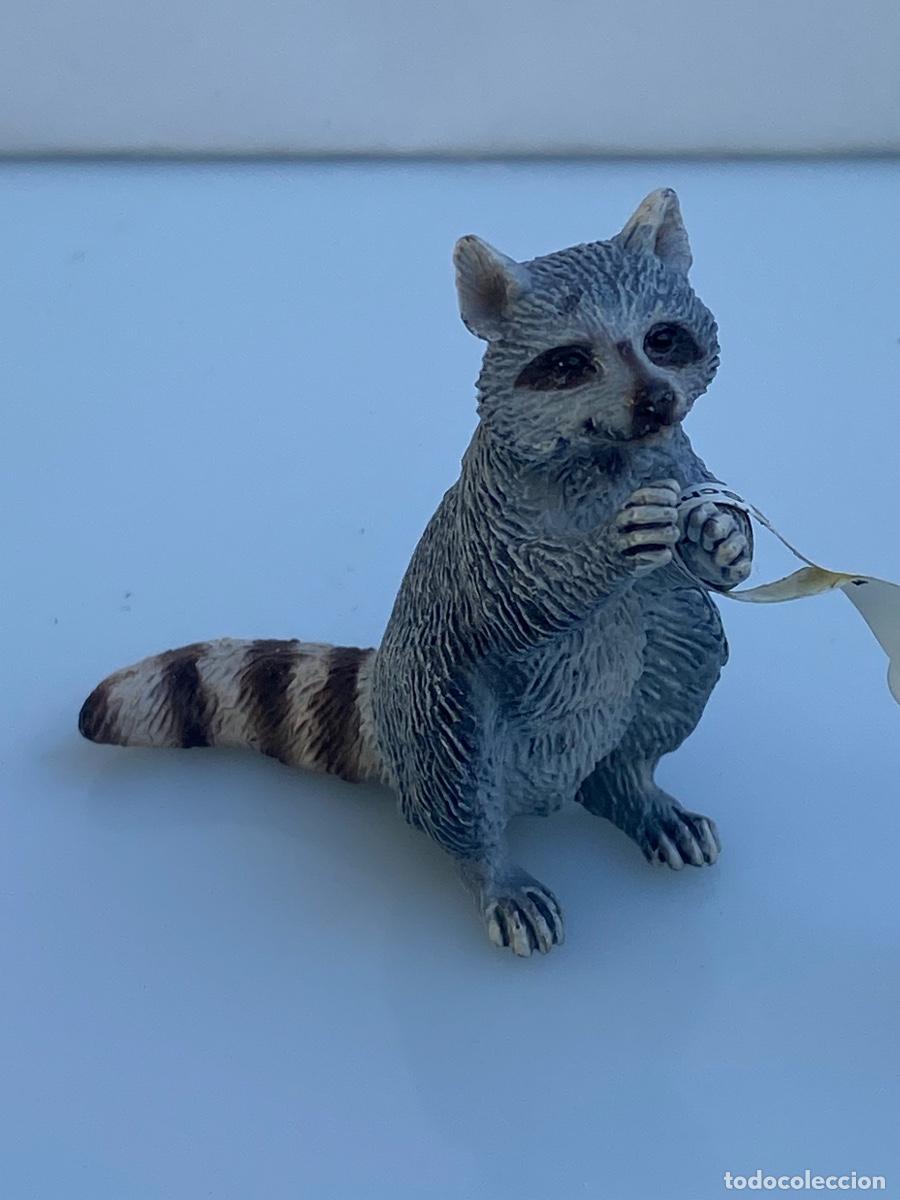 Figuras de goma y PVC: Schleich ref 14624 mapache - Foto 2