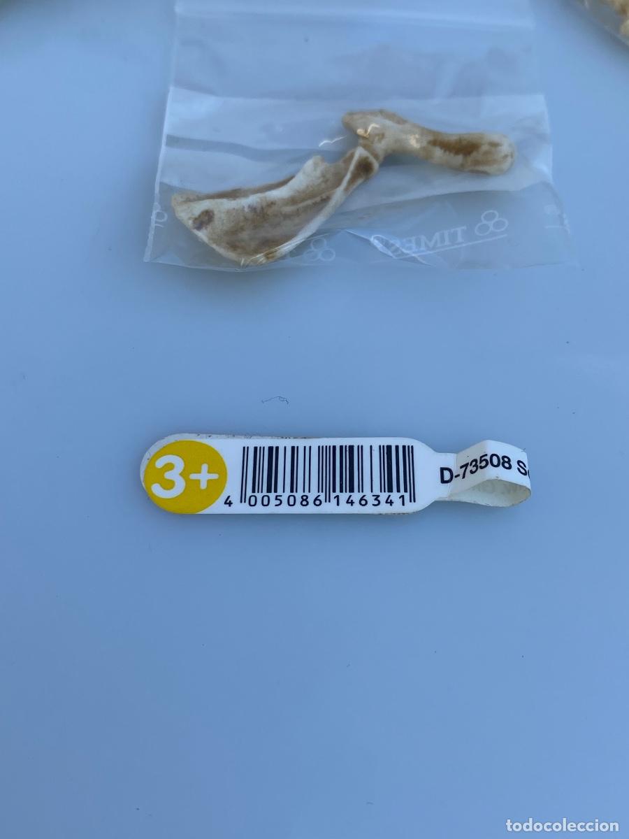 Figuras de goma y PVC: Schleich ref 14634 huesos - Foto 6