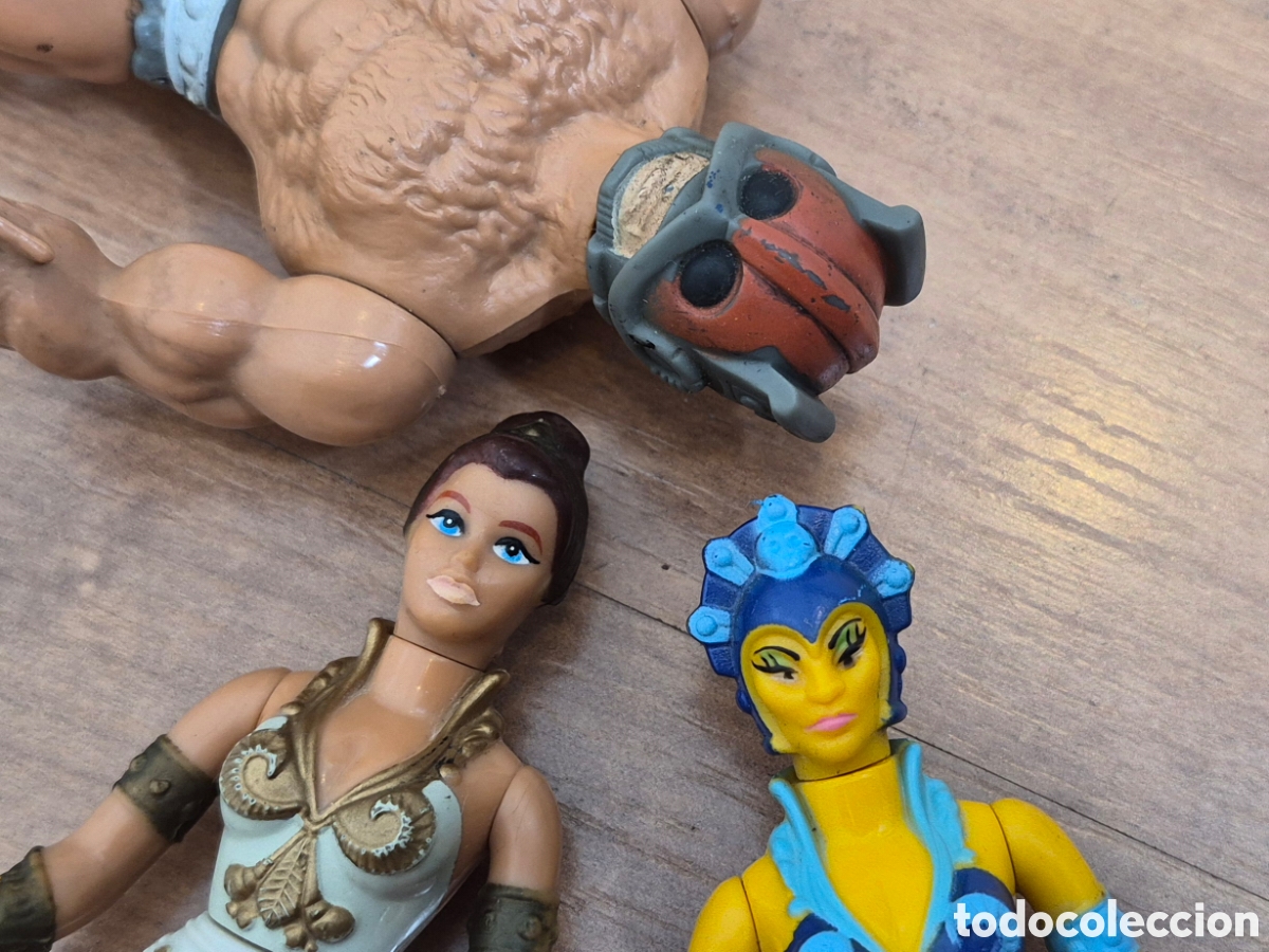 Figuras Masters del Universo: Evelyn Teela y Zodak. Masters del Universo. Zodac tila evelin motu heman