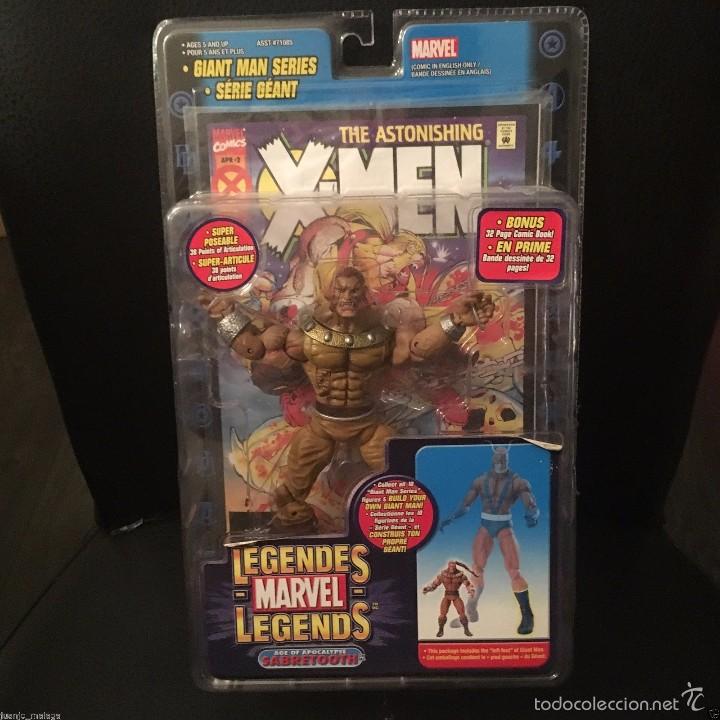 Figuras y mu&ntilde;ecos Marvel: MARVEL LEGENDS Serie GIANT MAN --AoA SABRETOOTH - Foto 1