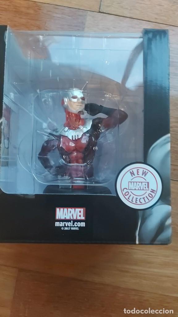 Figuras y mu&ntilde;ecos Marvel: Busto Ant Man - Foto 2