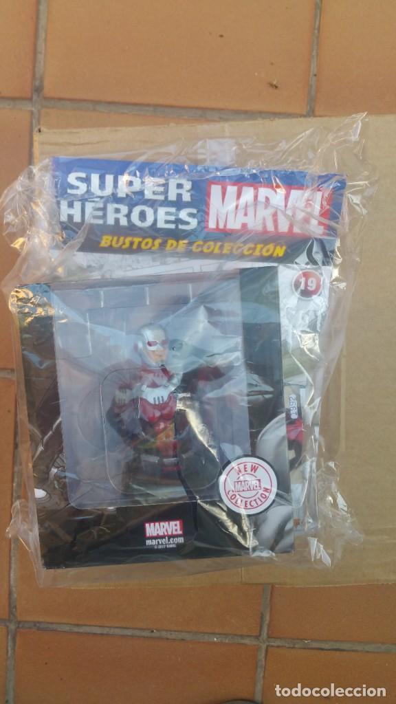 Figuras y mu&ntilde;ecos Marvel: Bustos Marvel fasciculo 19 Ant-man - Foto 1