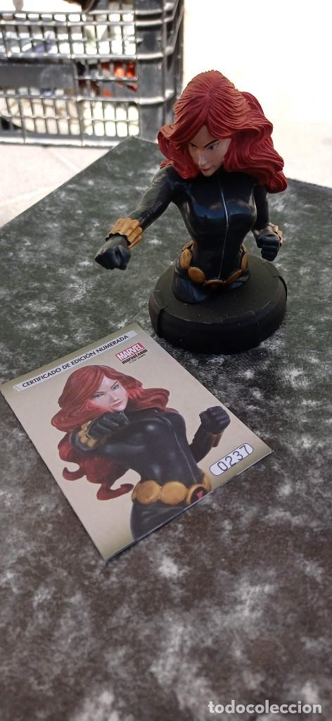 Figuras y mu&ntilde;ecos Marvel: LOTE 20 BUSTOS MARVEL CON CERTIFICADO NUMERADO - Foto 31