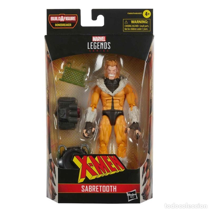 Figuras y mu&ntilde;ecos Marvel: FIGURA DIENTES DE SABLE SABLETOOTH MARVEL LEGENDS HASBRO - X.MEN - Foto 1