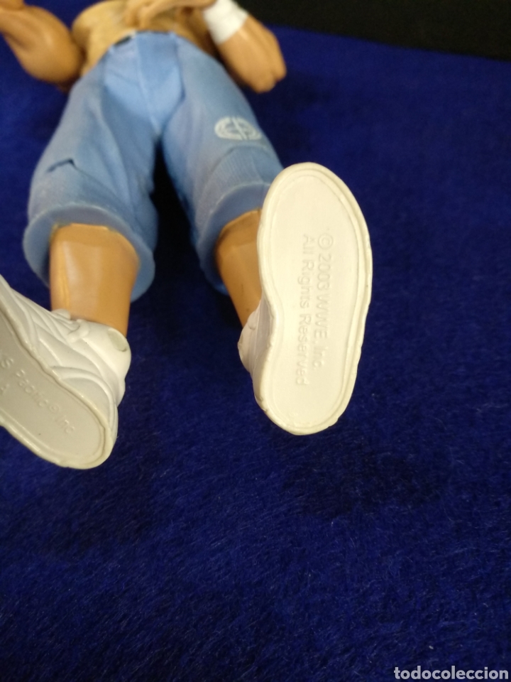 Figuras y mu&ntilde;ecos Pressing Catch: Figura pressing catch WWE 2003. 18cm - Foto 4