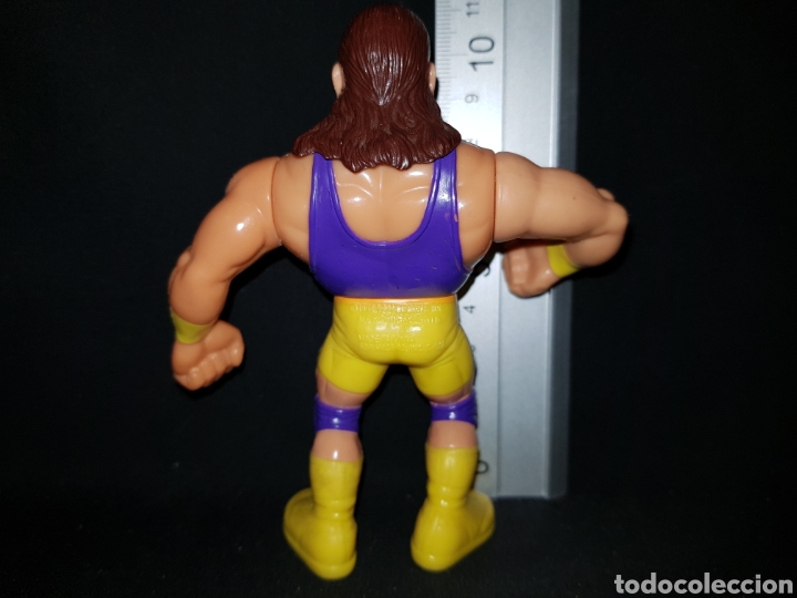 Figuras y mu&ntilde;ecos Pressing Catch: Figura WWF Crush (Brian Adams) - Foto 3