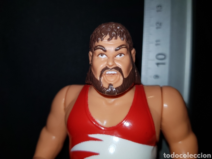 Figuras y mu&ntilde;ecos Pressing Catch: Figura WWF Thypoon - Foto 2