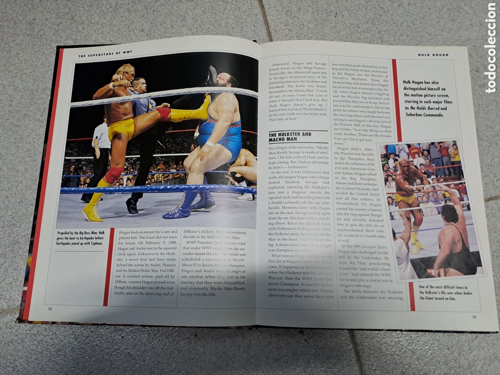 Figuras y mu&ntilde;ecos Pressing Catch: Lote WWF 19 mu&ntilde;ecos y libro - Foto 5