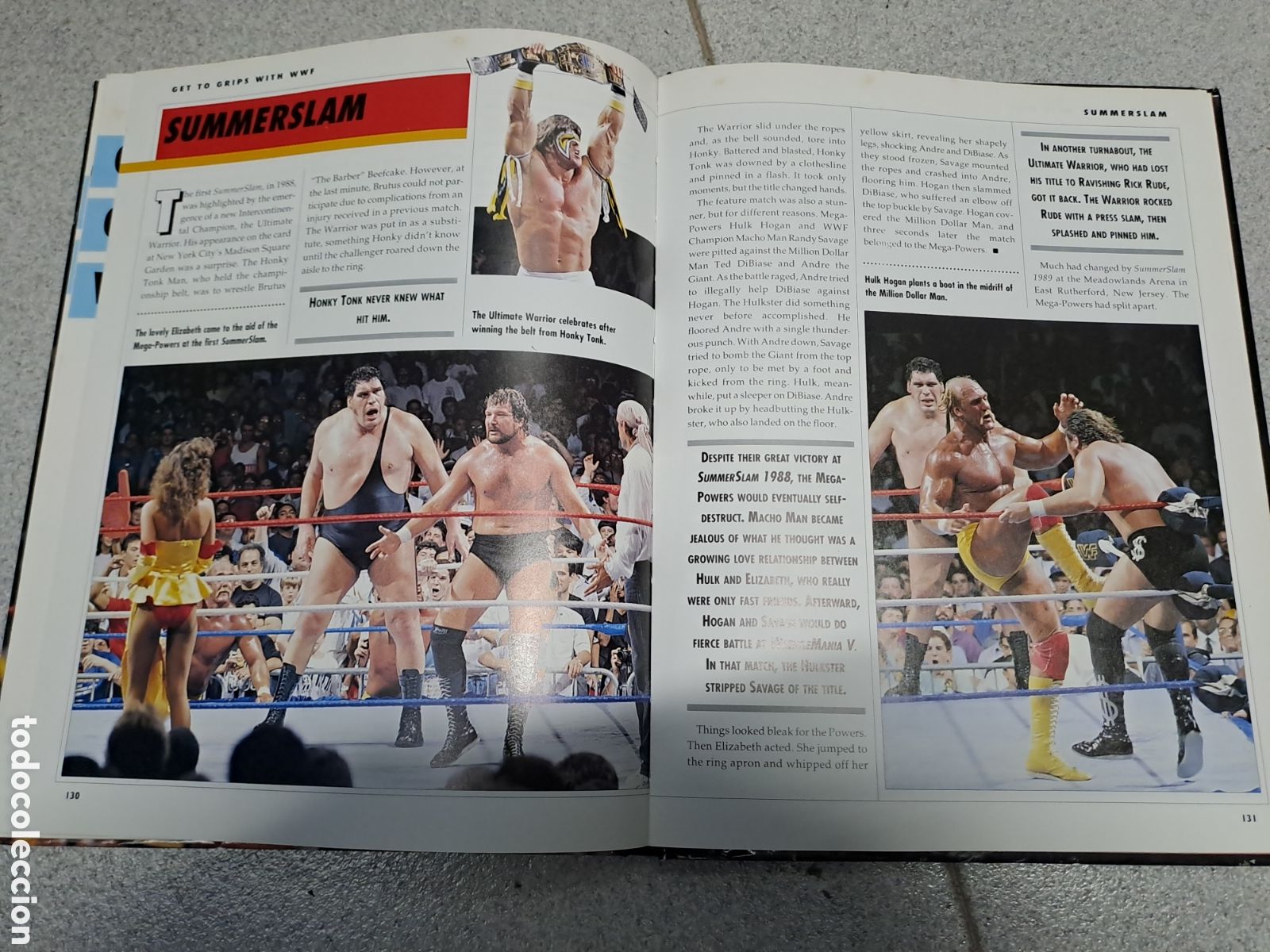 Figuras y mu&ntilde;ecos Pressing Catch: Lote WWF 19 mu&ntilde;ecos y libro - Foto 7