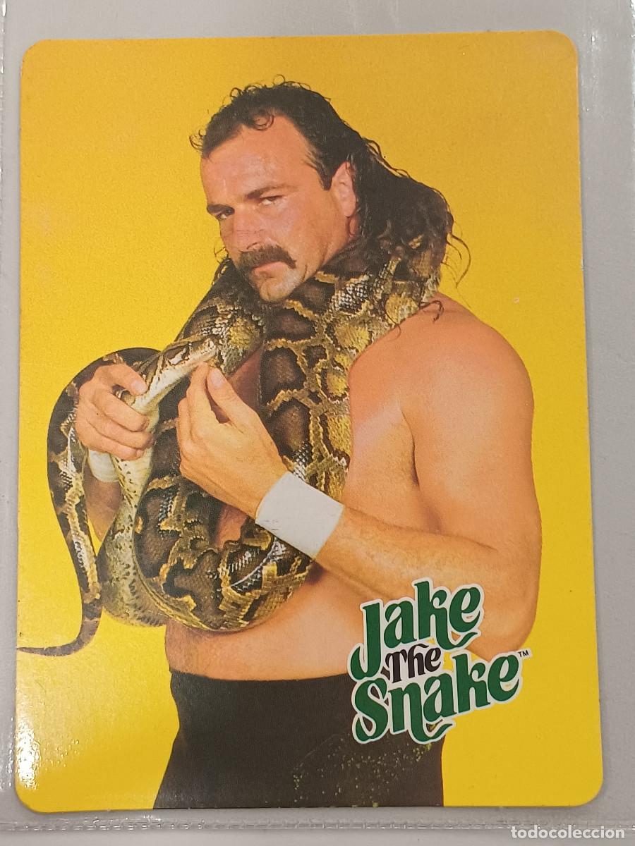 Figuras y Mu&ntilde;ecos Pressing Catch: JAKE THE SNAKE/WWF TARJETA-CARTA.