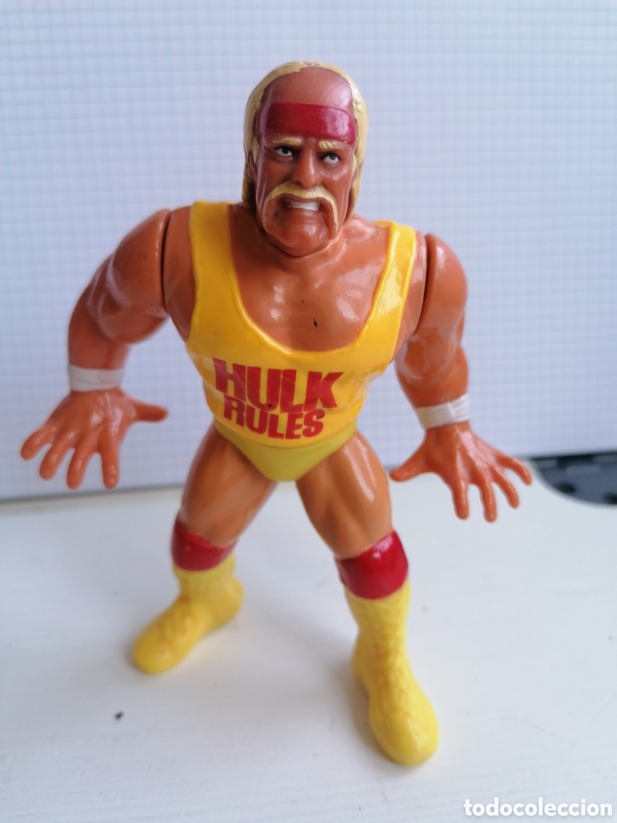 Figuras y mu&ntilde;ecos Pressing Catch: TITAN SPORTS 1990 HULK HOGAN