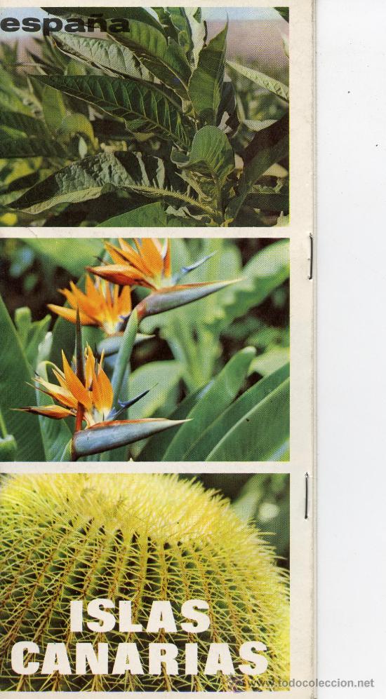 Travel Brochures: ISLAS CANARIAS