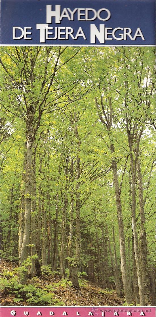 Travel Brochures: Parque Natural del Hayedo de Tejera Negra . Guadalajara. Castilla - La Mancha.
