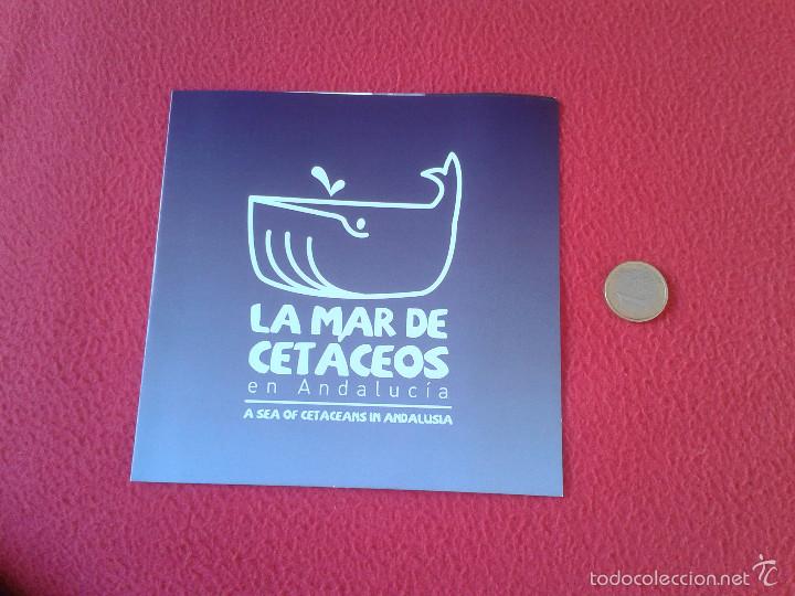 Tourismusbrosch&uuml;ren: DIPTICO FOLLETO O SIMILAR INFORMATIVO VER FOTO LA MAR DE CETACEOS EN ANDALUCIA A SEA OF CETACEANS