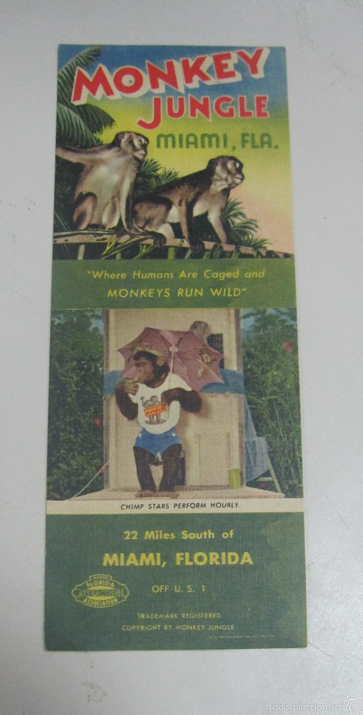 Brochures de tourisme: FOLLETO DE TURISMO. MONKEY JUNGLE. MIAMI, FLORIDA. VER