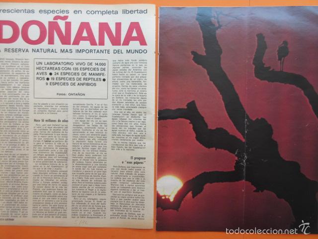 Travel Brochures: ARTICULO 1972 - DO&Ntilde;ANA LA RESERVA NATURAL MAS IMPORTANTE DEL MUNDO