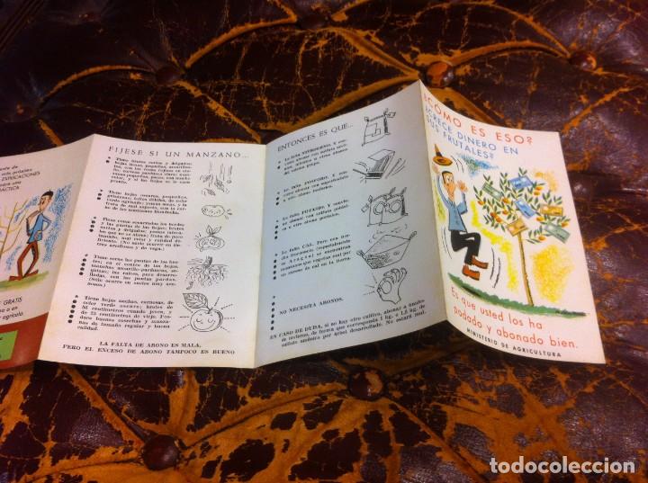 Brochures de tourisme: FOLLETO. MINISTERIO DE AGRICULTURA. &iquest;CRECE DINERO EN SUS FRUTALES?...
