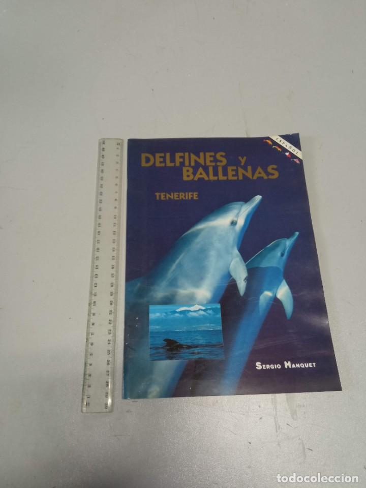 Brochures de tourisme: Delfines y ballenas Tenerife Turismo
