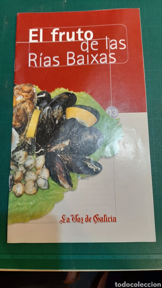 Brochures de tourisme: RIAS BAIXAS EL FRUTO VOZ INFORMACI&Oacute;N PUBLICIDAD 2004