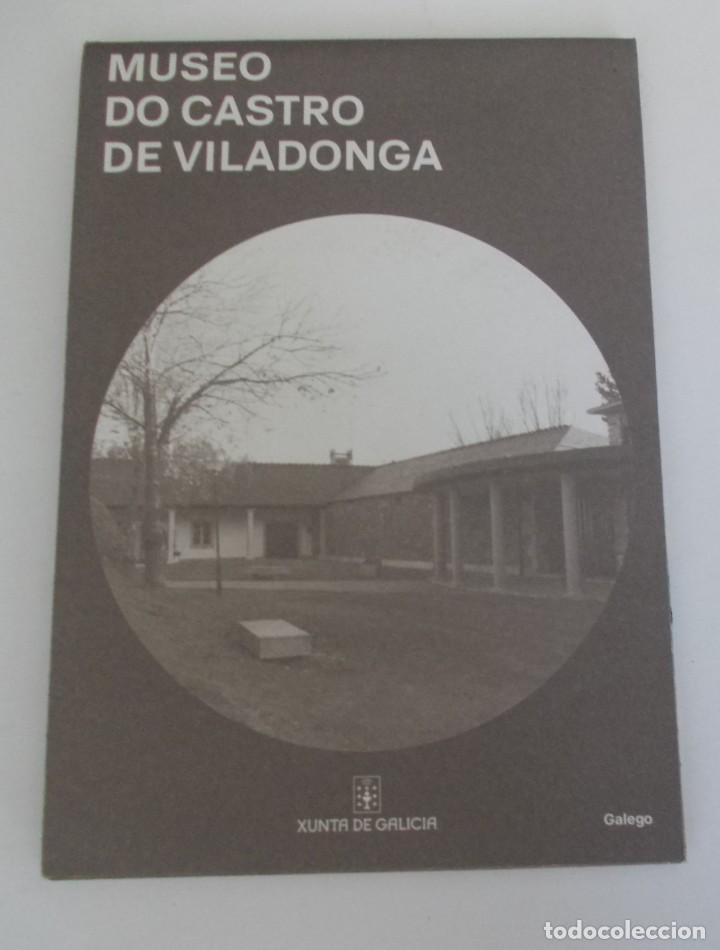 Brochures de tourisme: Folleto Turismo Museo Do Castro De Viladonga Poster hallazgos. Xunta de Galicia. Galego