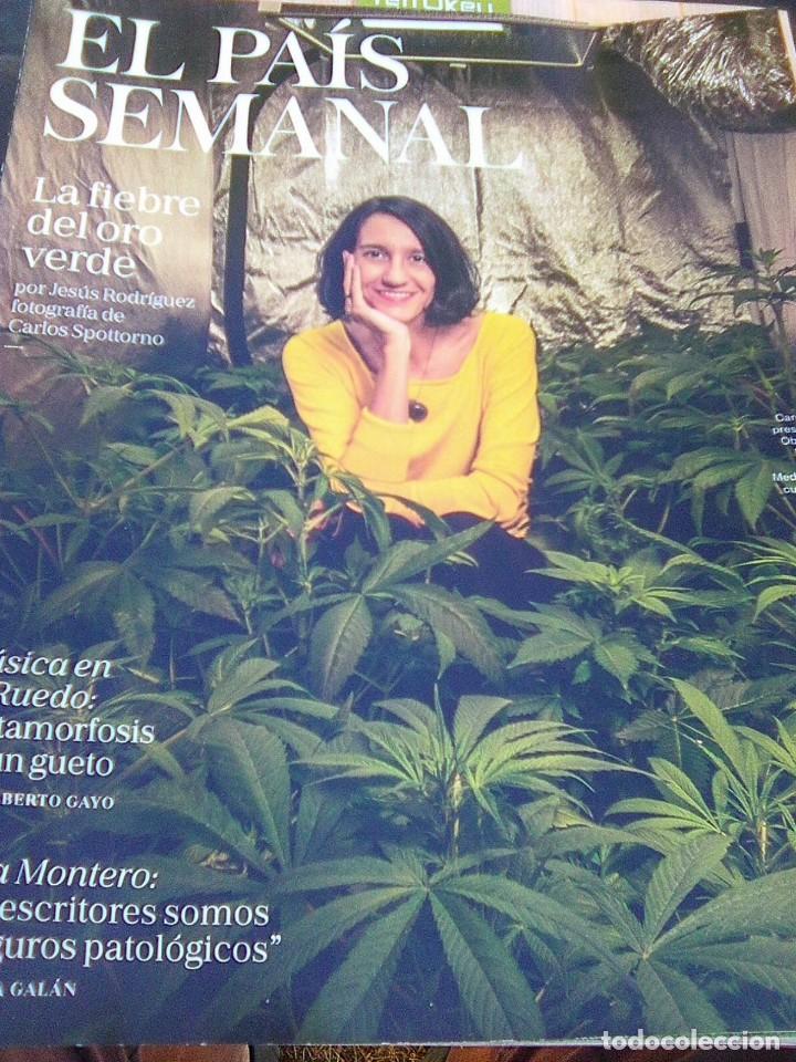 Folletos de turismo: El Pa&iacute;s - n&ordm; 2217 - 24 Marzo 2019 - la fiebre del oro verde. Cannabis, rosa montero