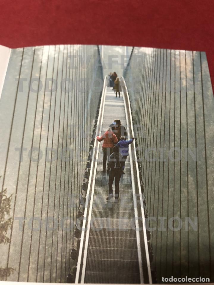 Folhetos de turismo: FOLLETO PUENTE COLGANTE WILDLINE EN LA SELVA NEGRA, ALEMANIA, EN INGLES