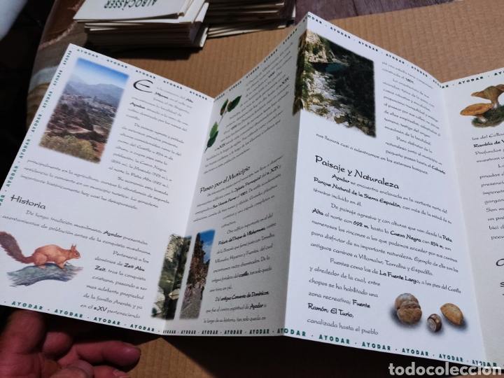 Folletos de turismo: Ayodar gu&iacute;a tur&iacute;stica - Foto 3