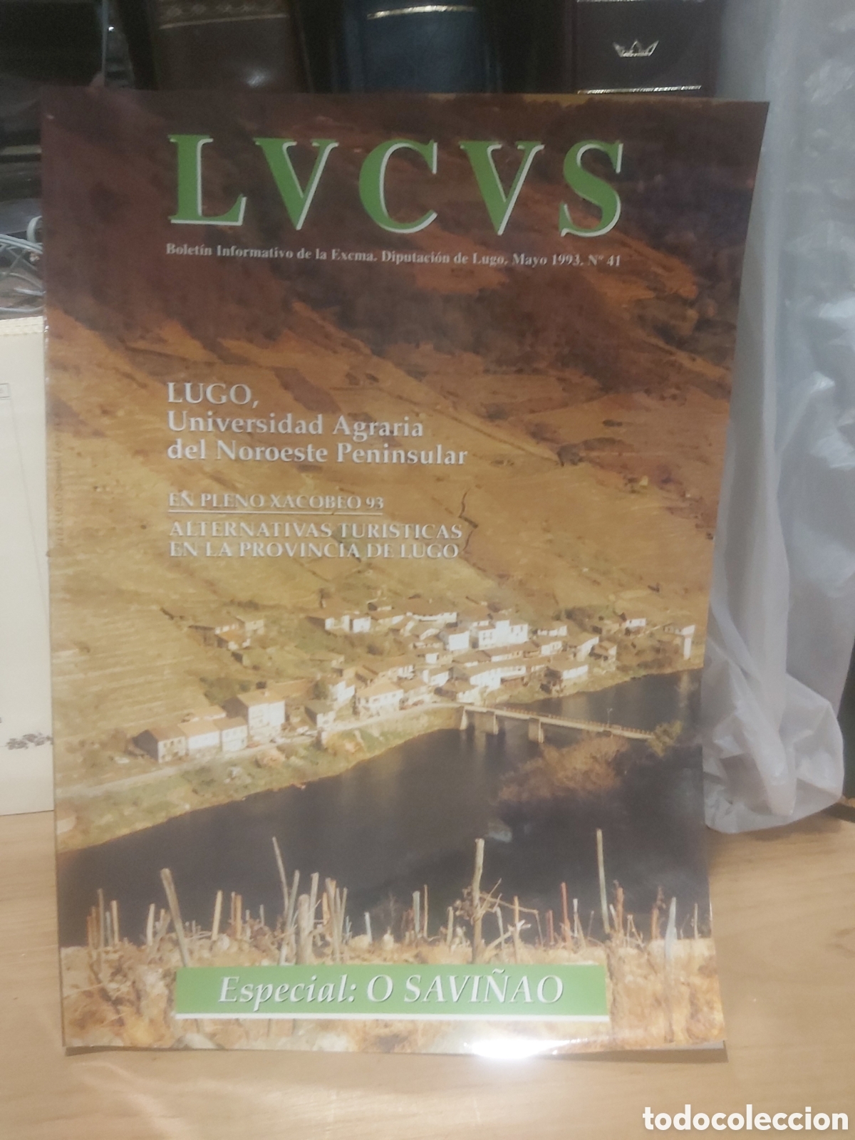 Brochures de tourisme: Lvcvs bolet&iacute;n diputaci&oacute;n provincial Lugo 1993 n&uacute;mero 41