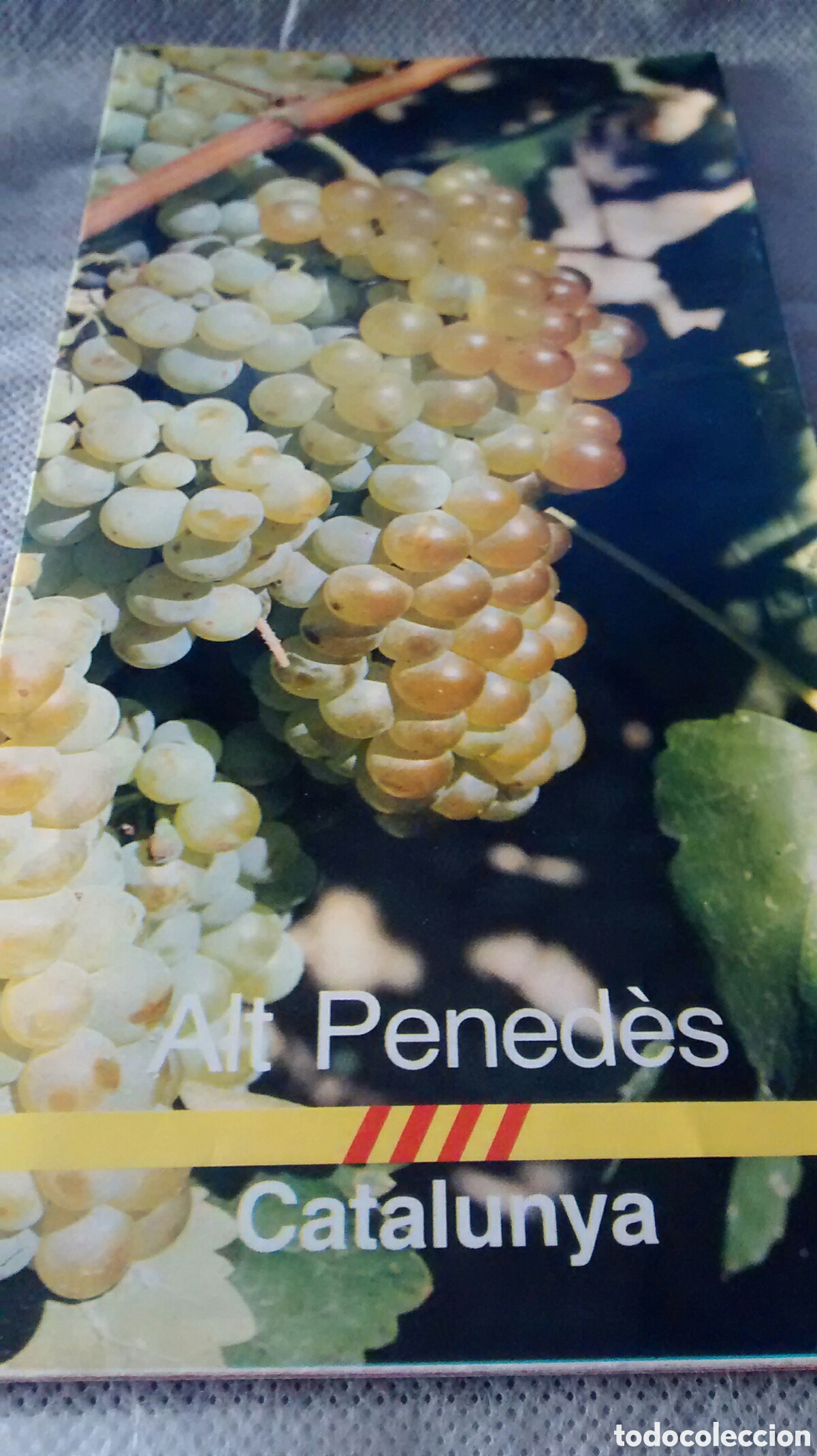 Tourismusbrosch&uuml;ren: ALT PENEDES, FOLLETO EN CASTELLANO