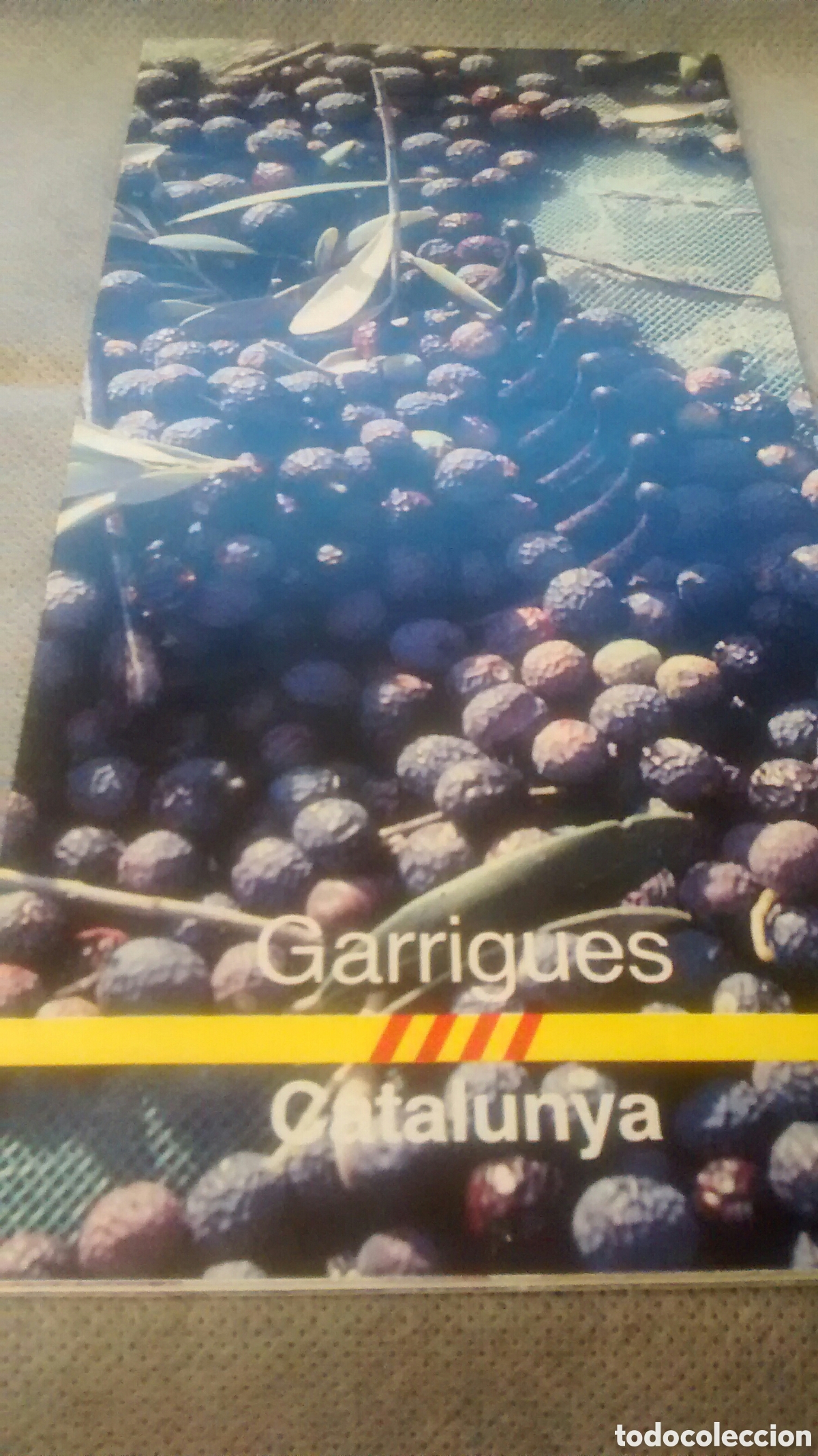 Tourismusbrosch&uuml;ren: GARRIGUES. FOLLETO EN CASTELLANO